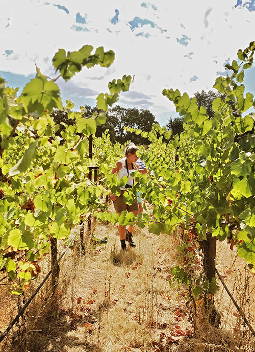 600_tegan_alejandro_naud