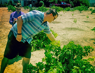 400_domenic_in_lopez