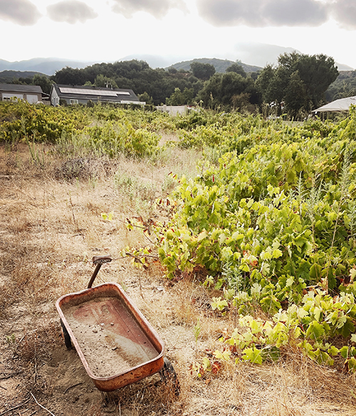 600_tegan_alejandro_naud