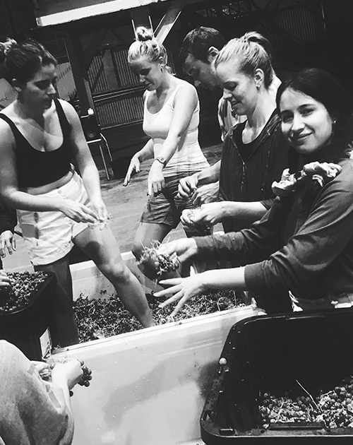 600_tegan_alejandro_naud