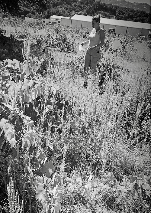 600_tegan_alejandro_naud