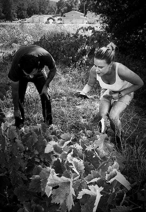 500_xtina_jaime_photographing_pechanga