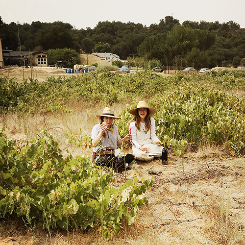 The Sisters Weinberger, celebrating after harvest 2021
